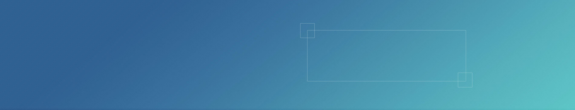 企业官方网站建设